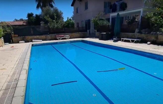 shared pool