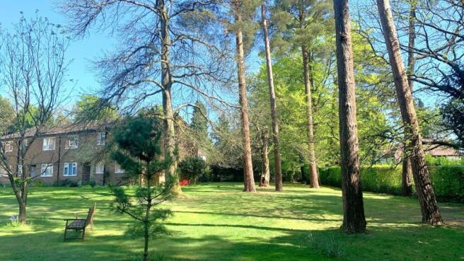 Communal Gardens