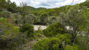 Photo of Balearic Islands, Mallorca, Puigpunyent