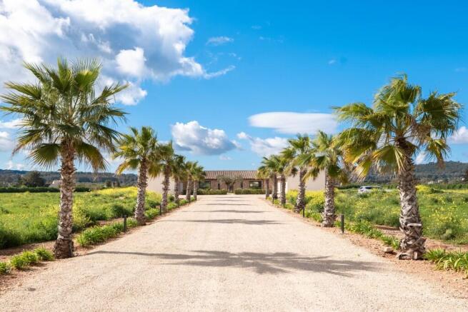driveway (2)