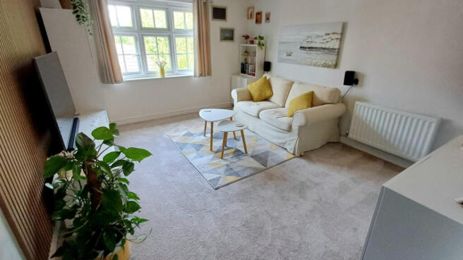 Contact our team for more information