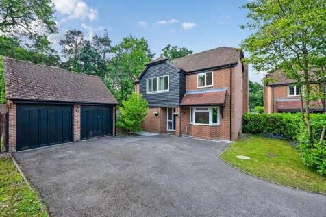 Pyotts Copse, Old Basing