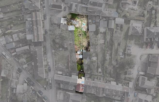 Outline of plot