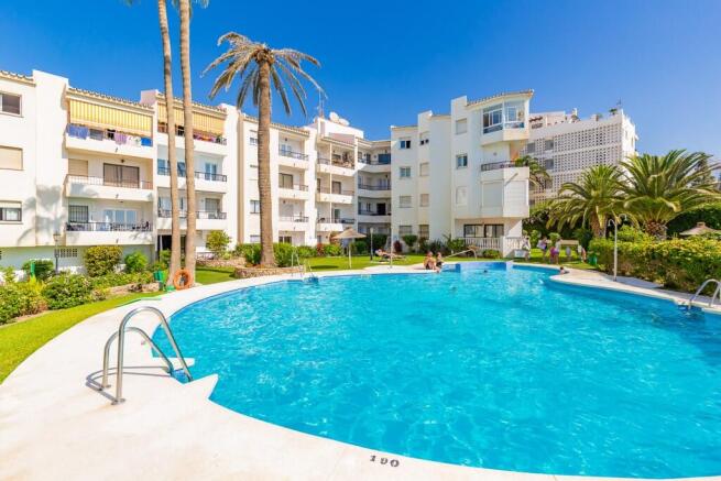 Palmeras pool