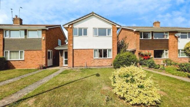 145 Finch front a.jpg