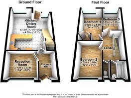 Picture 13