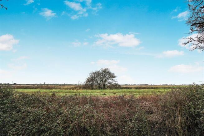 Field views
