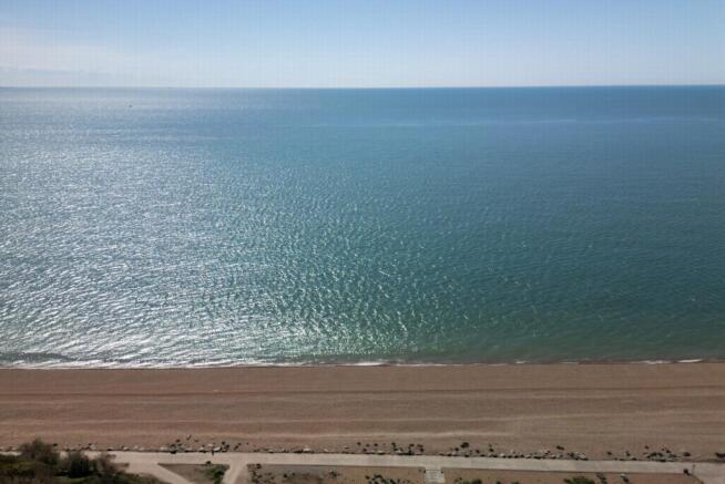 The view