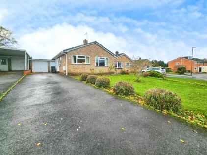 Canon Park, Berkeley