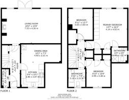 Monkey Puzzle fp .jpg