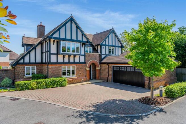 YEW TREE CLOSE -1.jpg
