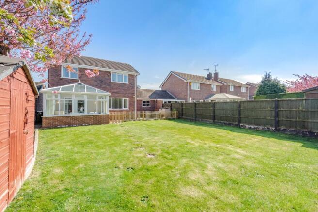 Back Garden
