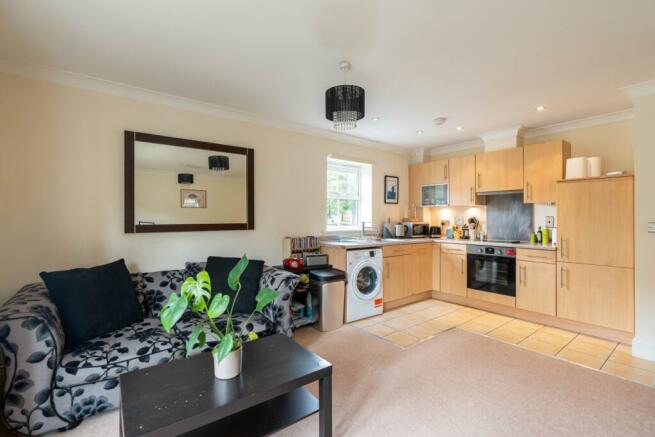 Kitchen living area 