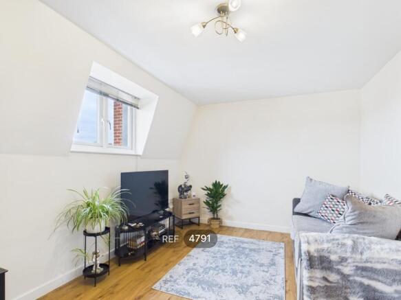 Kitchen / Living Area