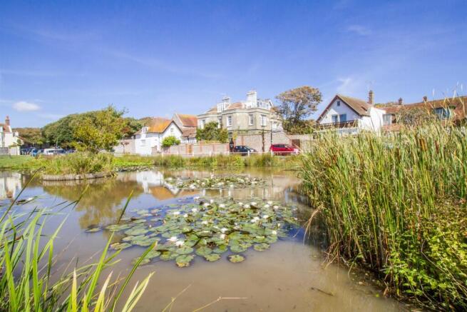 rottingdean pond.jpg