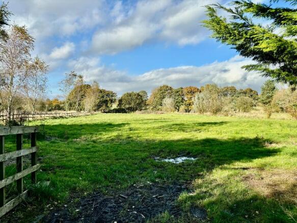 Field