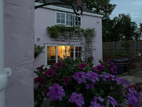 EVENING PHOTO