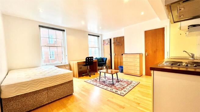 Living/Bedroom Area