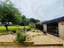 Rear Garden 2