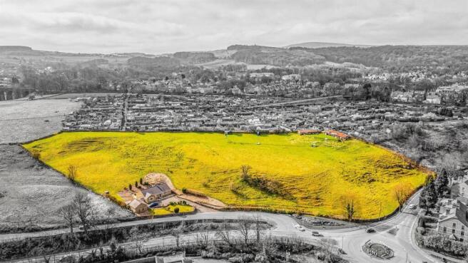20250326-DJI_0228-Edit.jpg