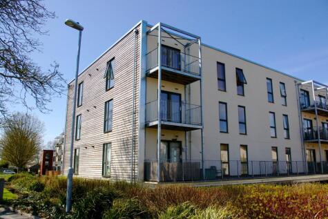 Lime Tree Square, Street