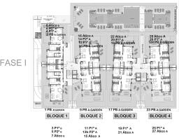 Development Plan