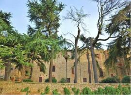 Photo of Paciano, Perugia, Umbria