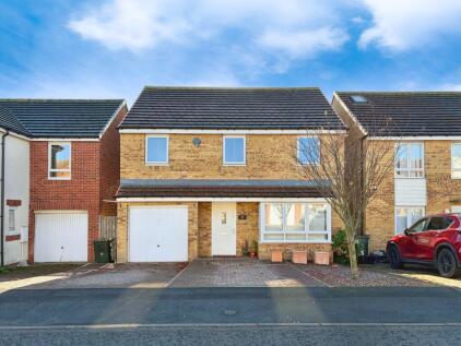 Warrington Grove, North Shields, North Shields, NE29