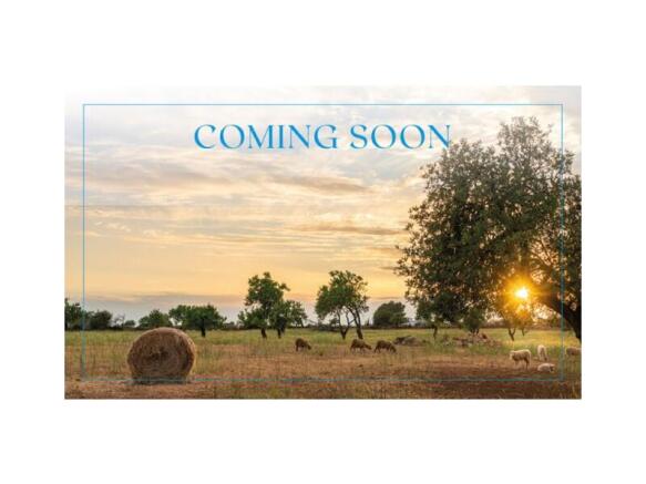 SECRET & COMING SOON_025