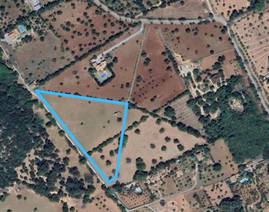 Incredible finca plot between Port de Pollenca and Pollenca