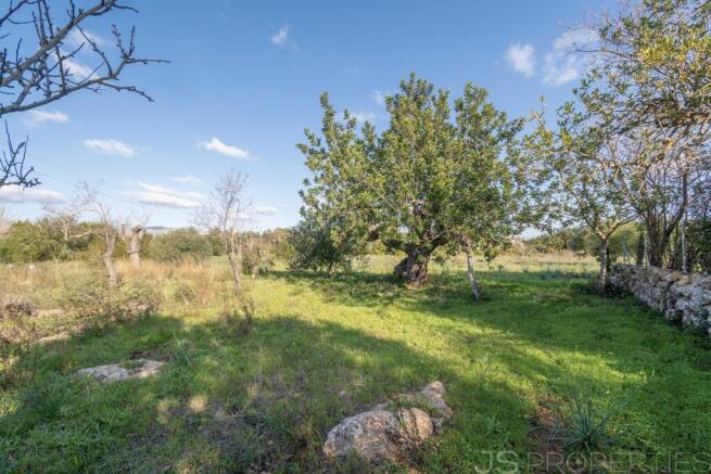 Land with license to build