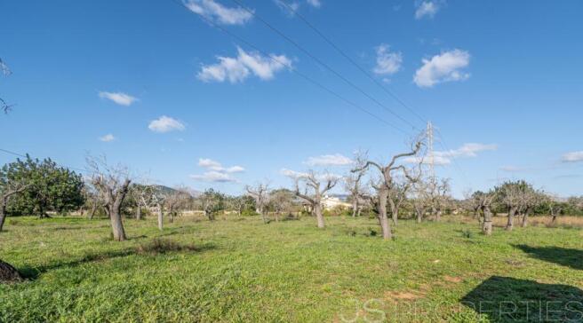 Land with license to build