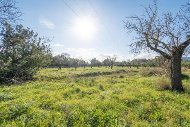 Land with license to build