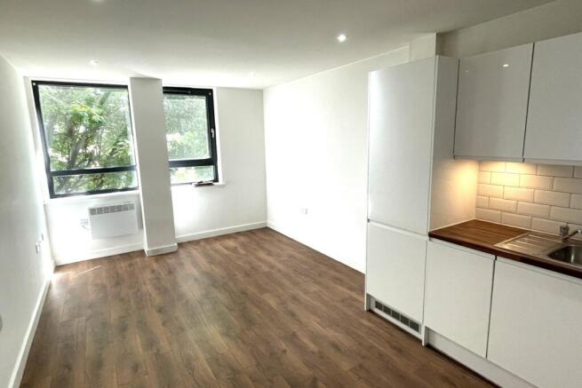 living room/Kitchen