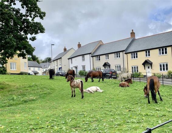 Local Neighbours
