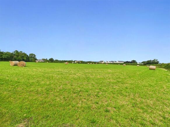 Field