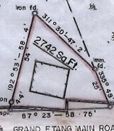 Floor/Site plan 1