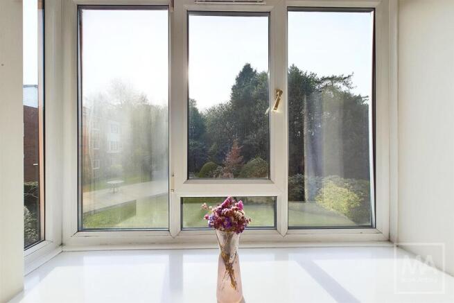 Window View