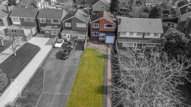 DJI_0781.jpg