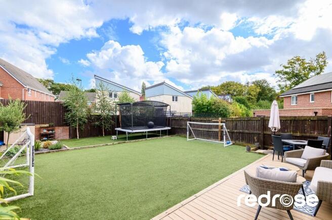 web_16 Old Thorns...