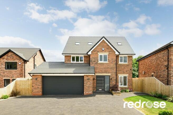 web_12 Armetridin...