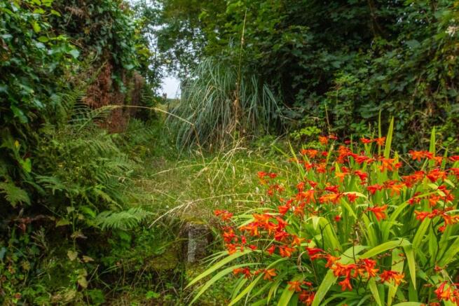 38 Lower Bore Street TPS Bodmin Branch 01208 87272