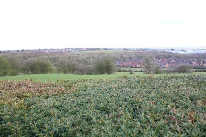 View Beyond The Garden