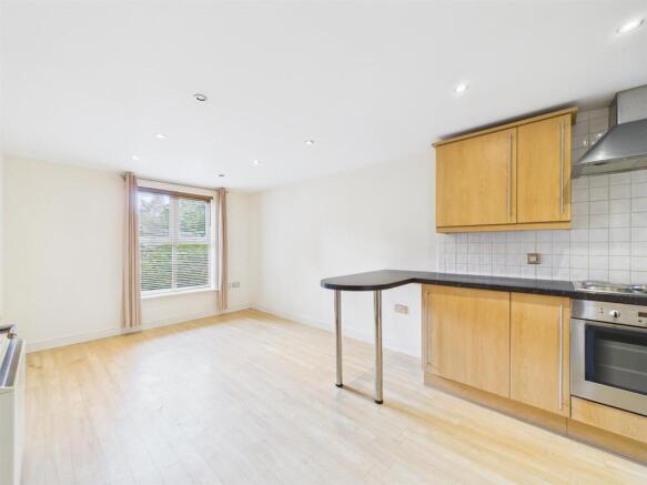 Living/Kitchen Area