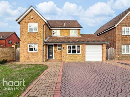 The Spinnaker, Chelmsford