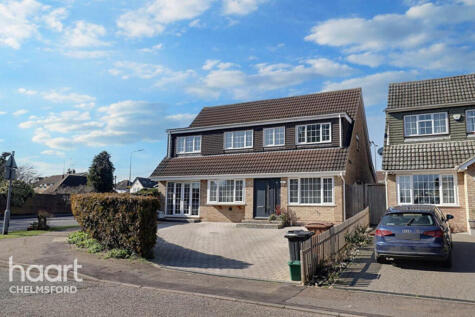 Petersfield, Chelmsford