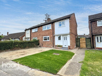 Spruce Avenue, Colchester