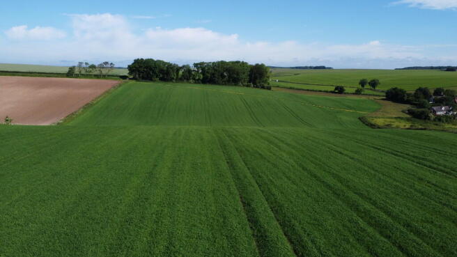 DJI_0644