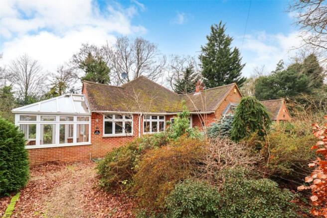 The Property