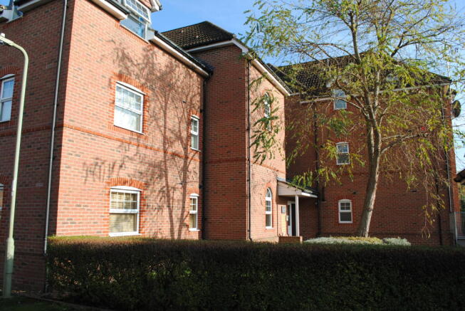 Photo 01